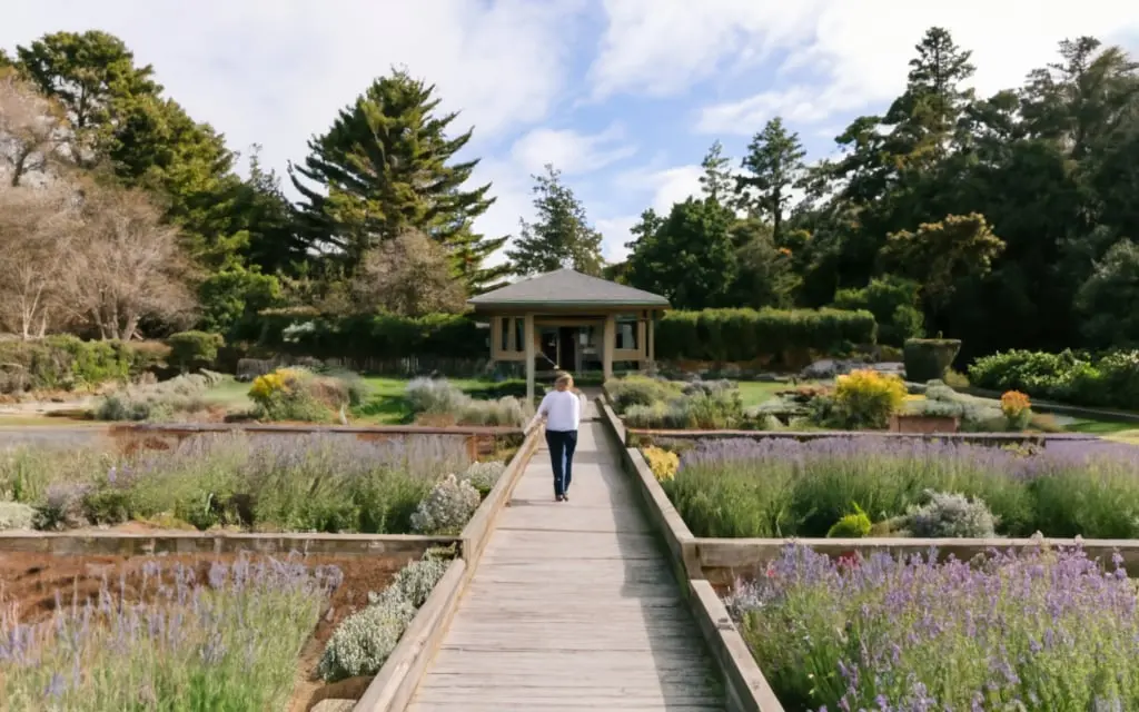 rodies mendocino botanical garden